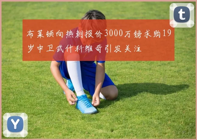 布莱顿向热刺报价3000万镑求购19岁中卫武什科维奇引发关注