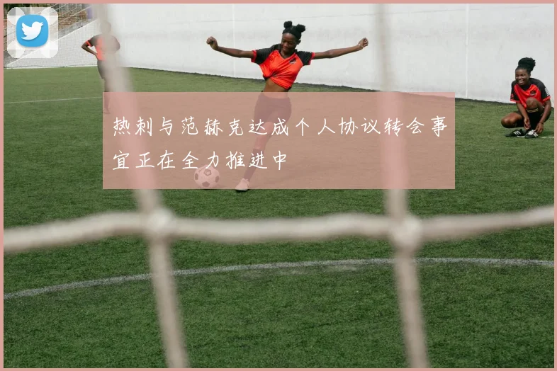 热刺与范赫克达成个人协议转会事宜正在全力推进中