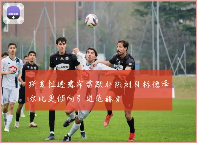 斯基拉透露布雷默非热刺目标德泽尔比更倾向引进范赫克